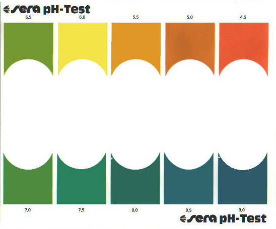 test pH sera kiểm tra độ pH của nước - bảng màu so sánh kết quả